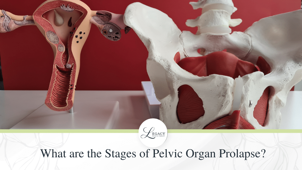 Pelvic Organ Prolapse