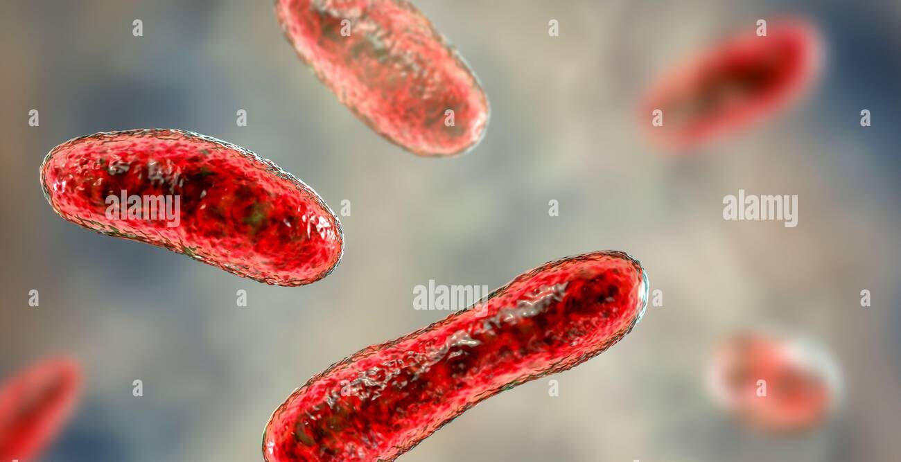 Q Fever (Coxiella burnetii)