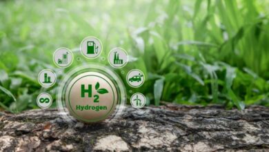 Revolutionary Catalyst Insights Boost Green Hydrogen Production