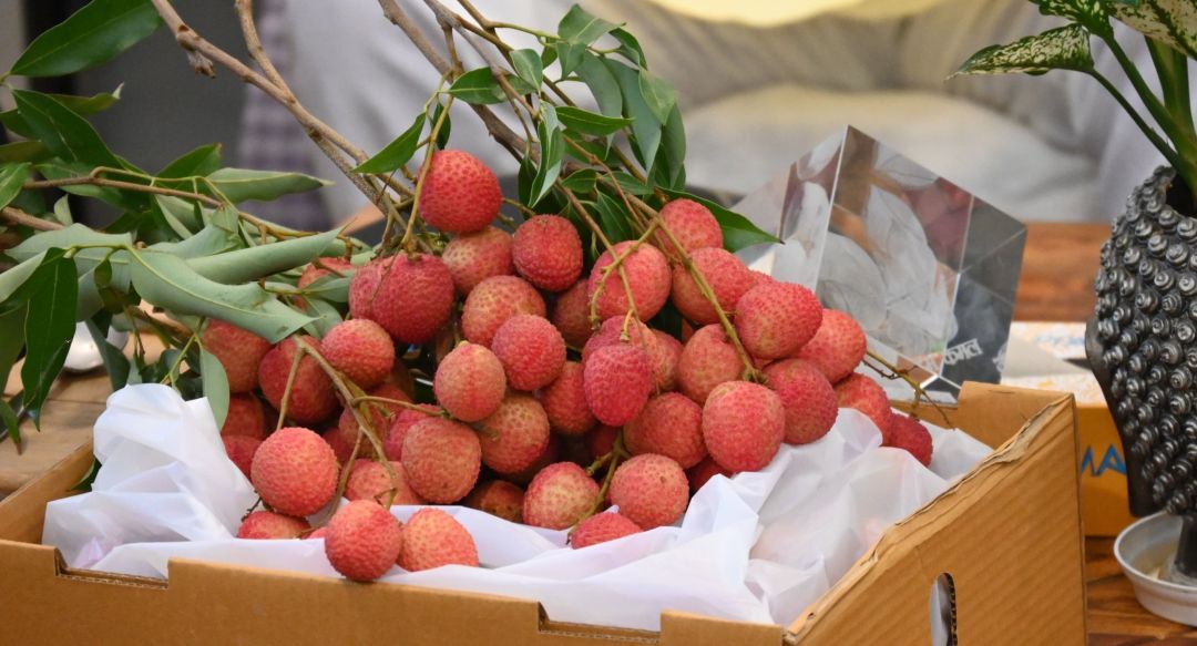 Uttarakhand Litchi Makes European Debut with Export to Italy