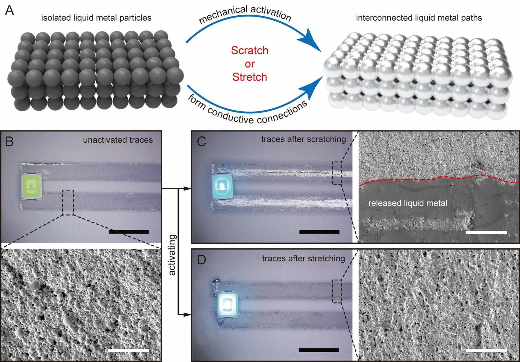 Bengaluru Researchers Revolutionize Metal Light Interaction with Mechanical Strain