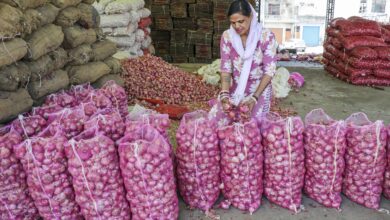 Centre Increases Onion Procurement Price by 13%: Reasons Behind the Decision