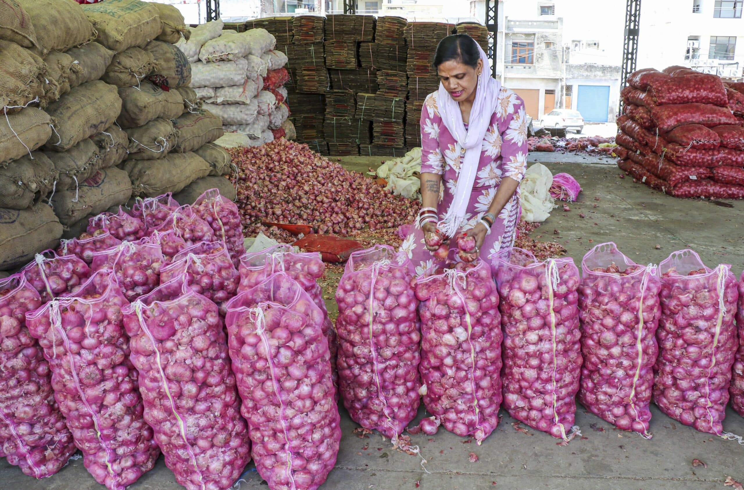 Centre Increases Onion Procurement Price by 13%: Reasons Behind the Decision