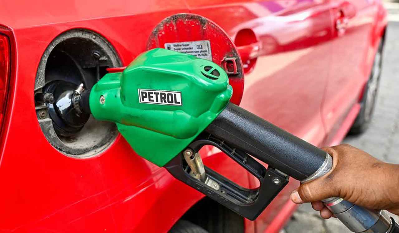 Centre Refutes Bhutan's Claims on E20 Petrol Export Proposal