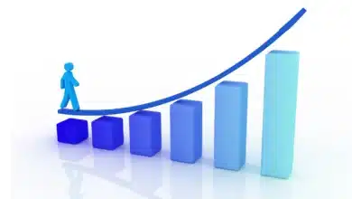 Companies Experience Rapid Growth in Summer Sales