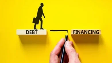 Debt Financing Emerges as Key Strategy for Indian IT Acquisition Funding