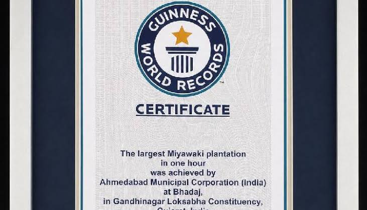 Gandhinagar Sets Guinness Record with 3.61 Lakh Tree Saplings