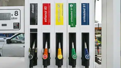Government Addresses E20 Petrol Controversy: Seven Claims on Ethanol Blended Fuel Impacting Mileage and Engines Debunked