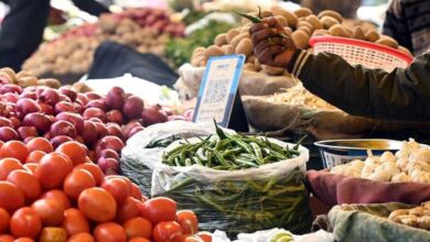 Increased Brand Variety in Stores, Yet Price Reductions May Fall Behind