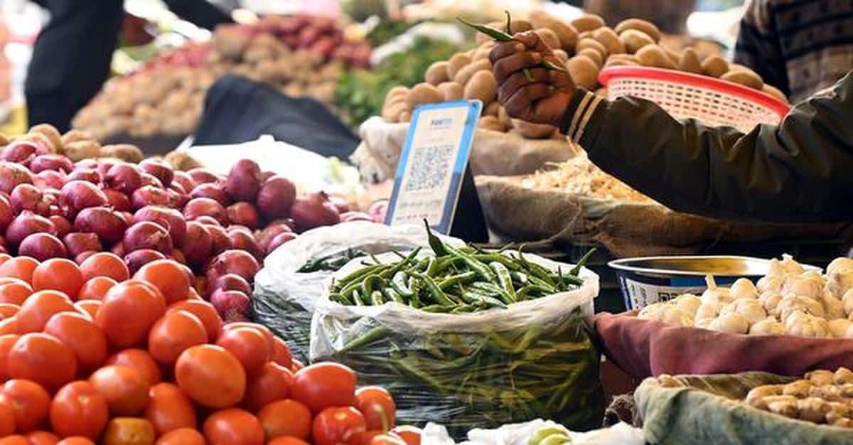 Increased Brand Variety in Stores, Yet Price Reductions May Fall Behind
