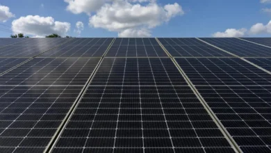 India Extends ALMM Exemption for Solar Projects Until 2026