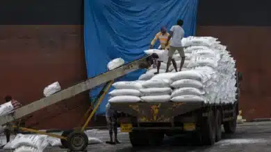 India's Fertiliser Strategy: 32 Lakh Tonnes Imported in Q1 and Enhanced Supply Chain via International Agreements