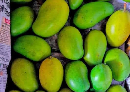 Jharkhand's Amrapali Mangoes Make International Debut in Dubai