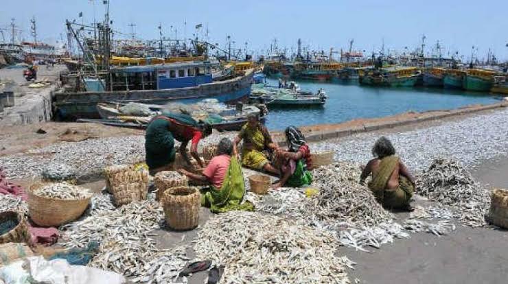 Karnataka Fishing Harbour Project Receives Major Funding Boost