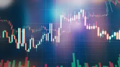Market Wrap: Key Gainers and Losers on NSE Nifty50 and BSE Sensex Today