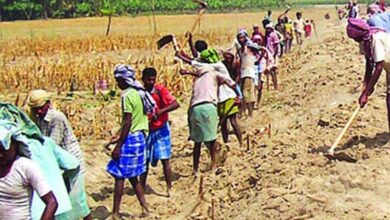 New Rural Employment Act Promises 125 Days of Guaranteed Wages