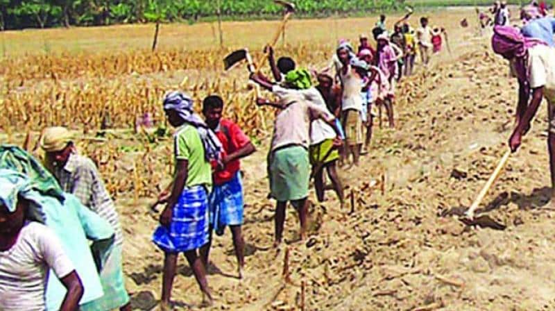 New Rural Employment Act Promises 125 Days of Guaranteed Wages