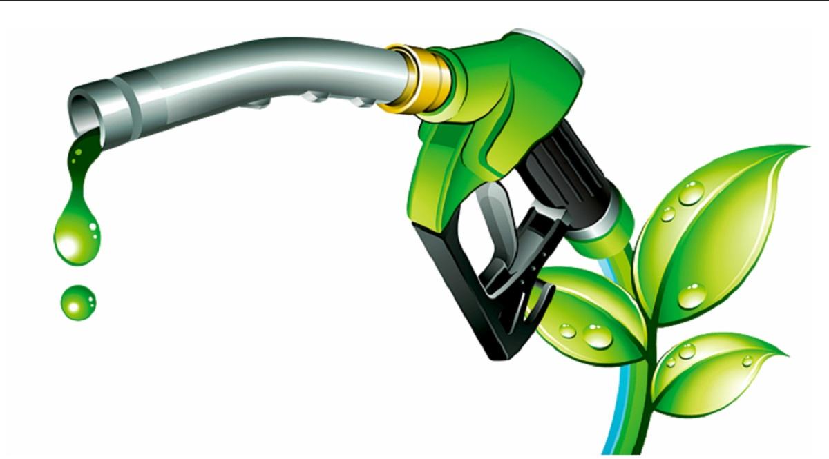 Oil Marketing Companies Hesitant to Expand E85 Rollout Amid E20 Petrol Debate