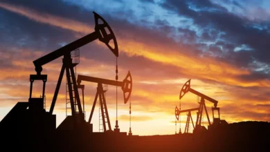 Potential Oil Supply Disruptions for India: Red Sea Route Challenges Impacting Saudi and Russian Crude
