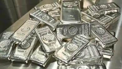 Silver Price Decline: Once Dubbed the 'New Gold', What Led to the Downturn?