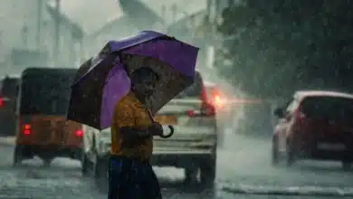 Southwest Monsoon in India: S&P Warns Weak Rains May Impact Farm Incomes, Consumption, and Inflation Outlook