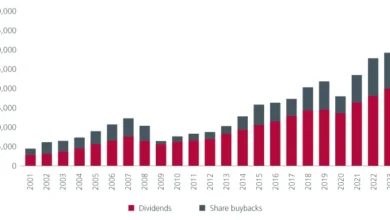 Anticipating Increased Japanese Portfolio Investments