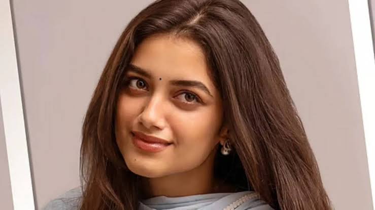 Bhagyashri Borse Officially Out of Aditya Roy Kapur's Upcoming Milap Zaveri Film, T-Series Confirms