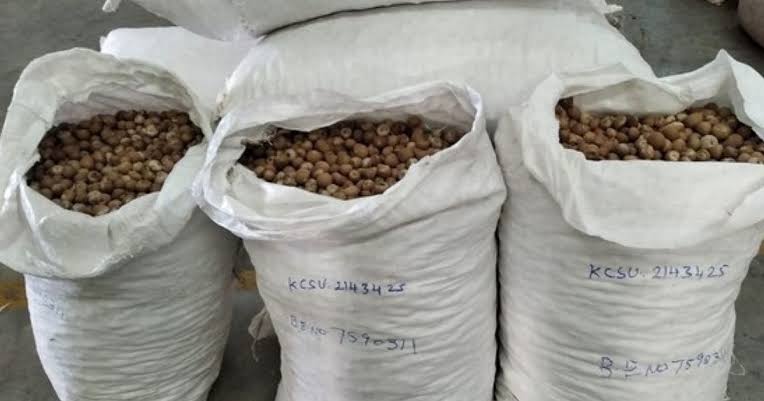 DRI Exposes Fraudulent Areca Nut Import Network, Arrests Nine