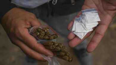 DRI Seizes Over 18 kg of Synthetic Drugs in Bengaluru and Pune