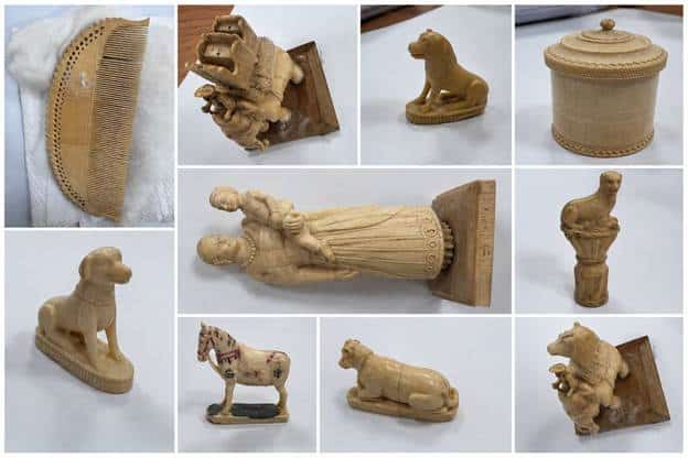 DRI Takes Down Wildlife Trafficking Syndicate, Seizes 54 Ivory Artefacts