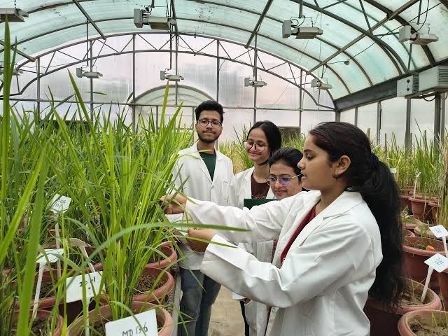 Fellowship Transforms Life of Agriculture Microbiology PhD Graduate