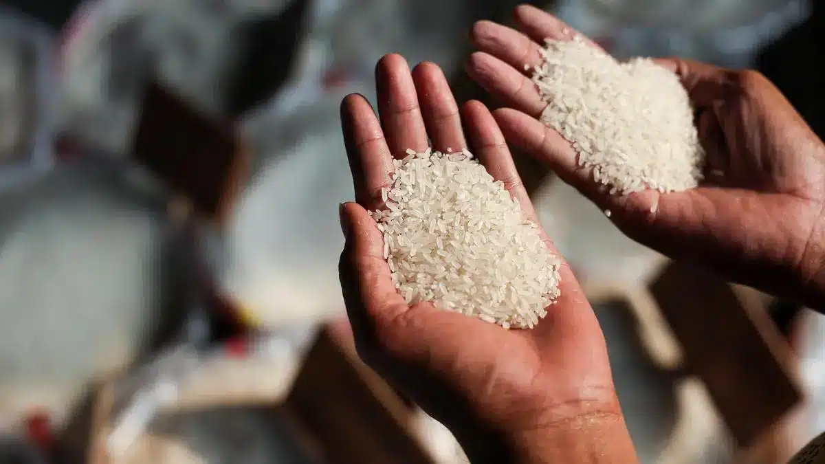 Global Interest Grows as 3,317 Buyers Register for BIRC 2026 in India's Rice Bowl