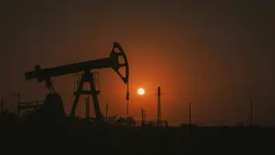 Government Sets Refinery-Specific Production Targets; Reliance Receives Largest Quota