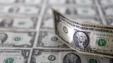 India's Foreign Exchange Reserves Reach Record High of $729.33 Billion Following $12.42 Billion Increase