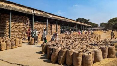 India's Rice Exports to Iran: Navigating Potential Challenges from Donald Trump's Sanctions Threat