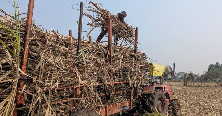 India's Sugar Imports: Exploring the Reasons Behind the Move as Prices Reach Record Highs