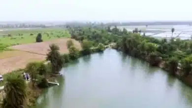 Odisha Accelerates Water Conservation Efforts with 'Catch the Rain' Campaign