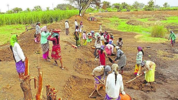 Positive Indicator for Rural Livelihoods as 61.5% of Women Engage in G RAM G Work