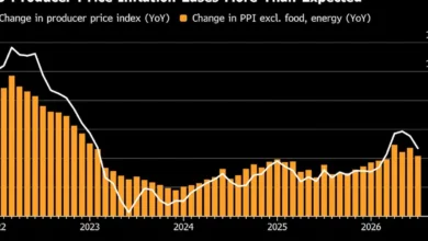 Service Producer Prices Show Mixed Trends in Latest Estimates