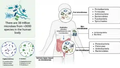South Asian Gut Microbiomes Reveal Unique Cultural Influences