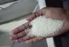 Sugar Industry Faces Challenges as Retailers Implement Price Caps