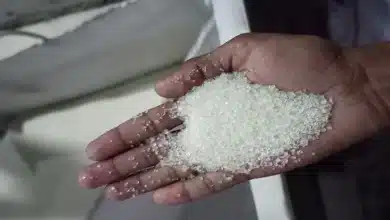 Sugar Industry Faces Challenges as Retailers Implement Price Caps