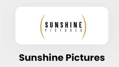 Sunshine Pictures IPO Soars with 105.81x Subscription Records