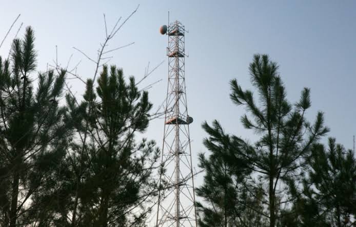 Canada Fund Acquires 24% Stake in Tower Company for $1.3 Billion