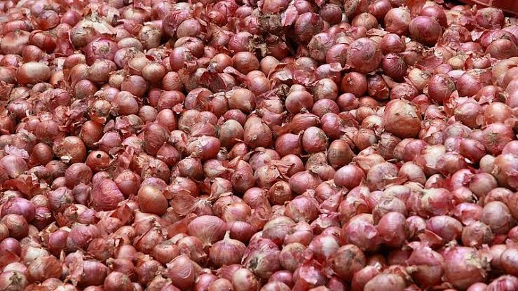 Centre Expands Rs 35/kg Onion Sale to 19 Cities Amid Supply Concerns