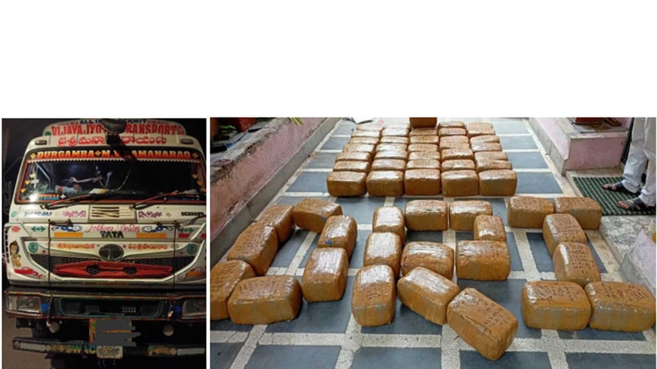 DRI Seizes 740 kg of Cannabis in Nationwide Crackdown