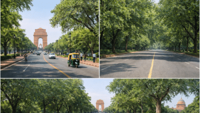 Delhi Engineers Trained on Urban Road Greening Standards