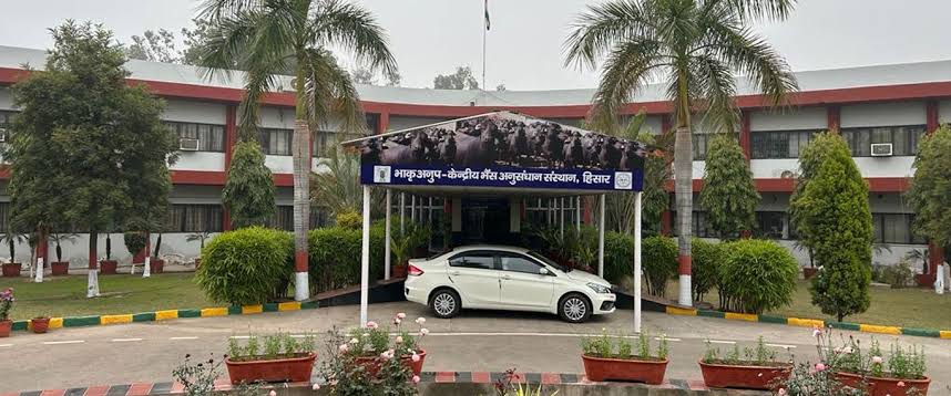 ICAR-CIRB Launches Cleanliness Campaign in Hisar