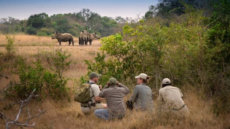 Nature Enthusiasts Gather for Wildlife Walks at NZP