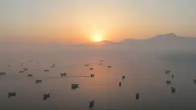 Oil Prices Surge Above $90 Amid Ongoing Middle East Conflict and Strait of Hormuz Closure
